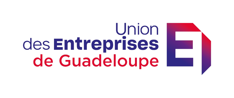 LOGO_UDE_MEDEF-removebg-preview